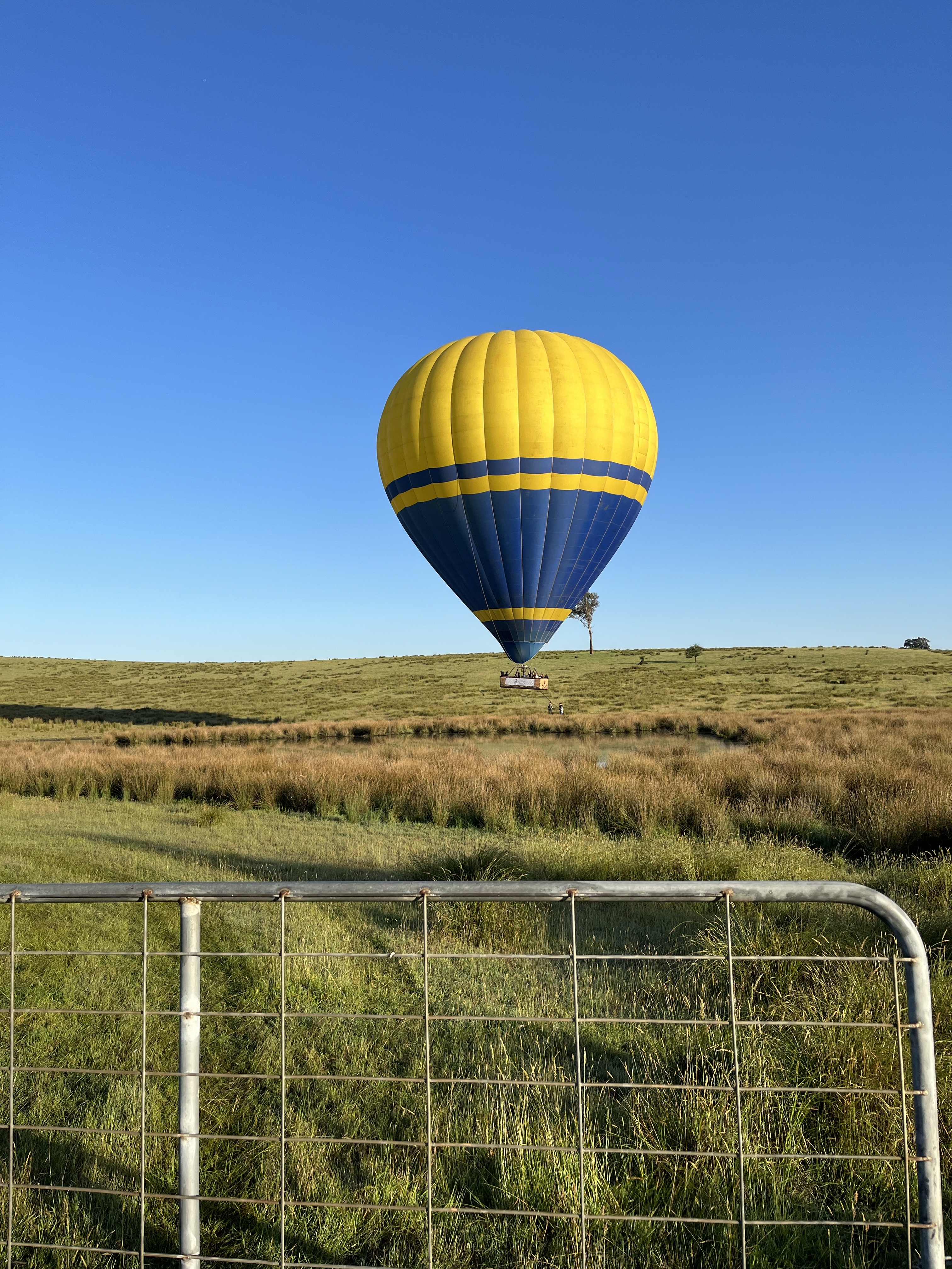 LearnaBee: Thoughtful Growth, One Post at a Time